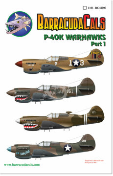 Zestaw kalkomanii P-40K Warhawks Part 1 BarracudaCals BC48007 skala 1/48