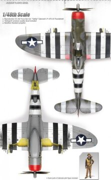 P-47D Thunderbolt 