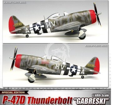 P-47D Thunderbolt 