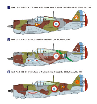 Curtiss Hawk 75C French Air Force (Premium Edition Kit) - Wolfpack WP14815 skala 1/48