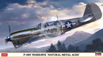 P-40N Warhawk 'Natural Metal Aces' Hasegawa 07516 skala 1/48