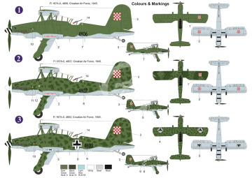 Fieseler Fi 167 