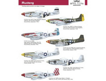 P-51 Mustang Royal Class Edition Eduard R0020 skala 1/48